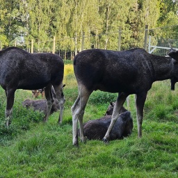 nordkap rundreise 2025__2